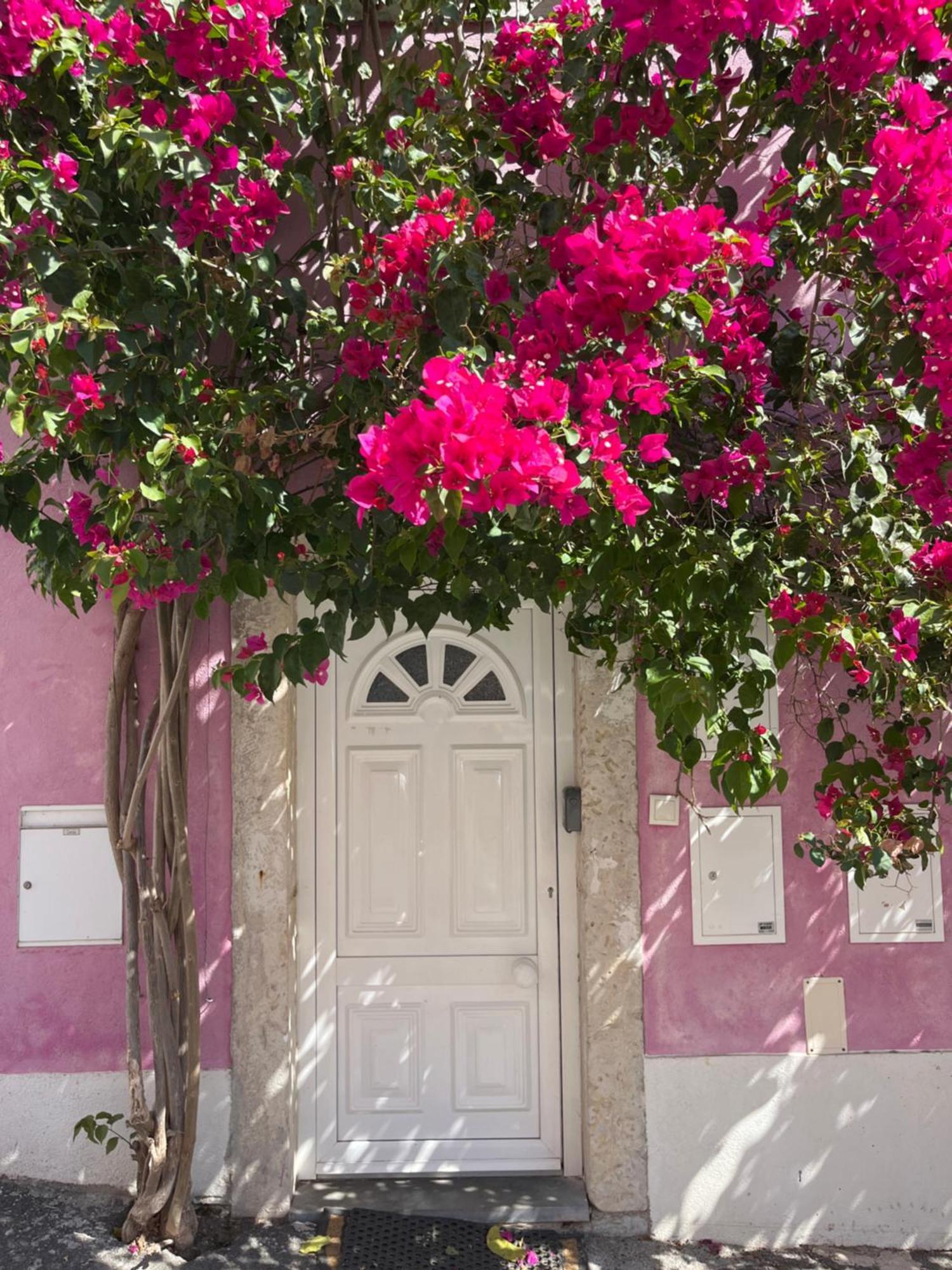 Апартаменты Casa Cor De Rosa Лиссабон Экстерьер фото
