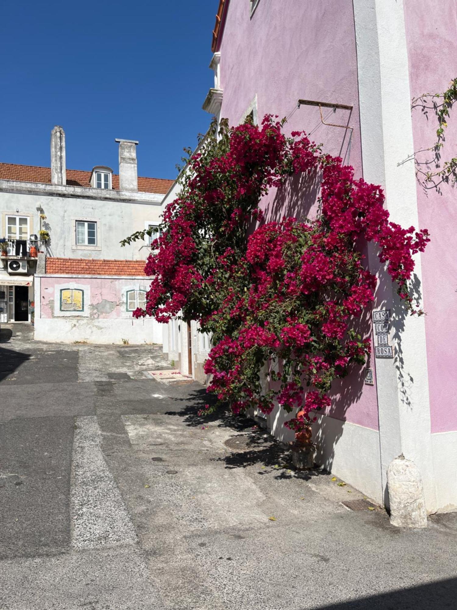 Апартаменты Casa Cor De Rosa Лиссабон Экстерьер фото